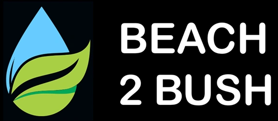 logo_main